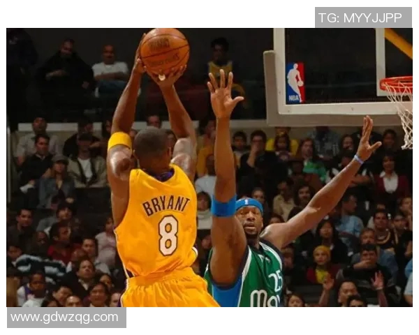 传奇巨星科比的奋斗历程与不屈精神的启示